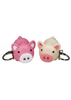 Piggy Sound and LED Key Light